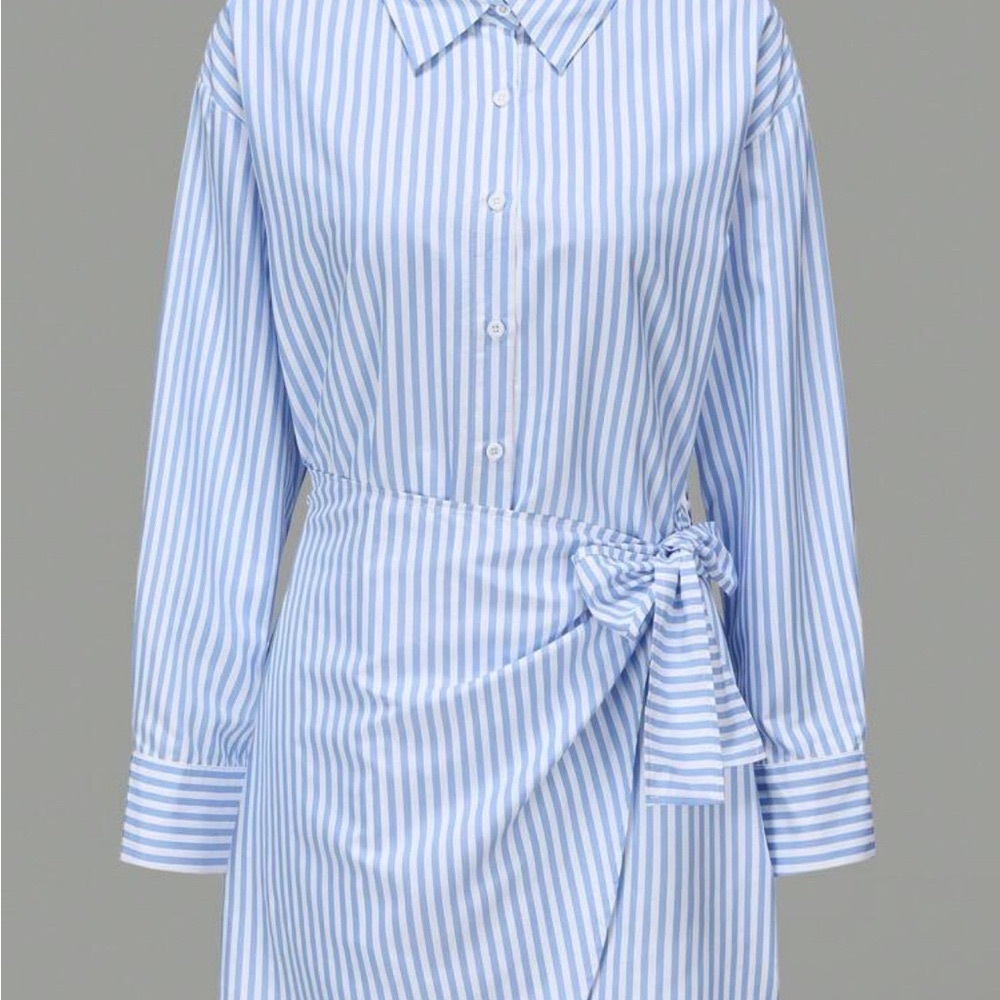 NWOT Blue Striped Button-Up Dress